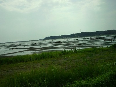 CA3I0417 CA3I0417