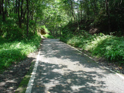 20060818_002.jpg