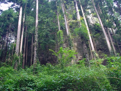 DSC07678.jpg