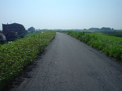 20050918_000.jpg