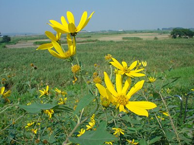 20050918_004.jpg