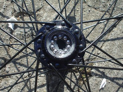 20051218_013.jpg