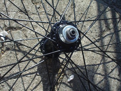20051218_014.jpg