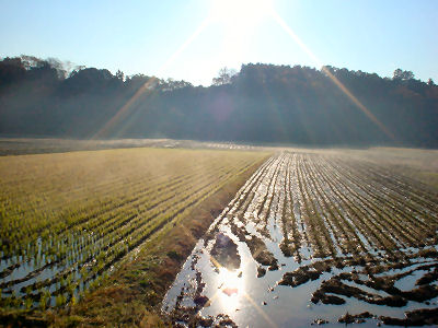 20061202_001.jpg