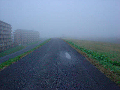 20061210_000.jpg