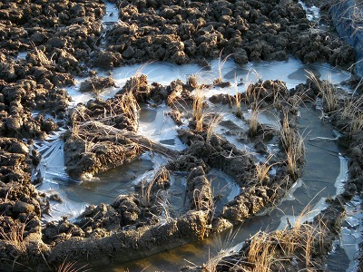 氷