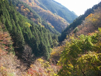 逆川の渓谷風景