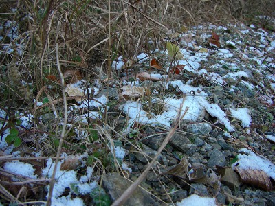 残雪