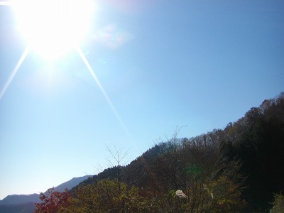 お天気最高