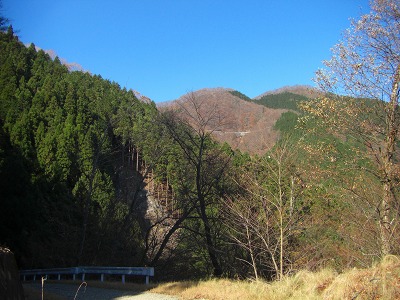 逆川林道を望む