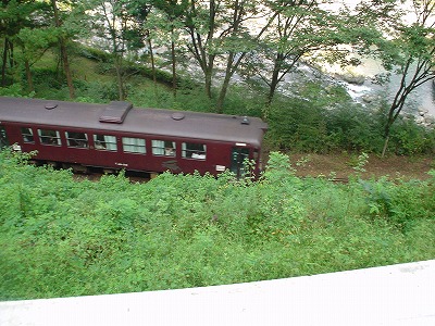 DSC07072.jpg