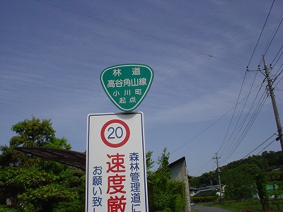DSC07422.jpg
