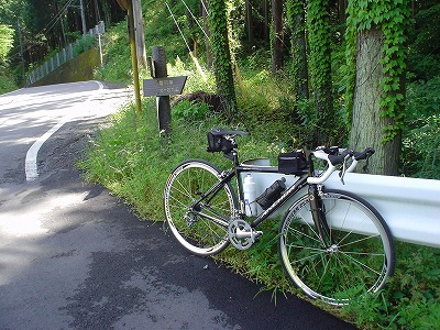 DSC07425.jpg