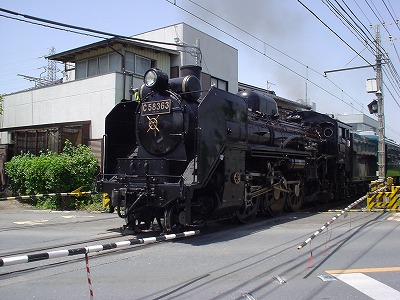 DSC07429.jpg