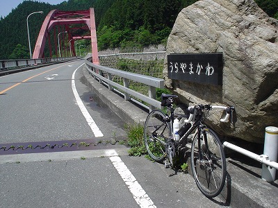 DSC07432.jpg
