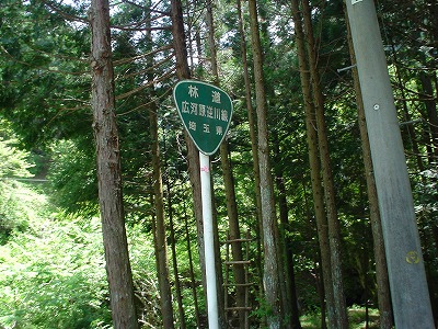 DSC07433.jpg
