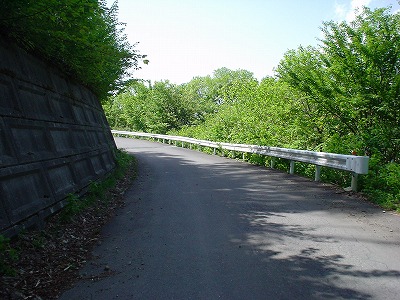 DSC07434.jpg