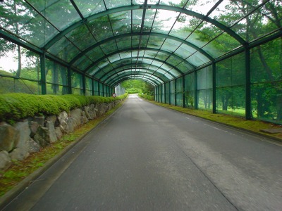 DSC07484.jpg