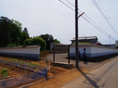 P5060825 P5060825
