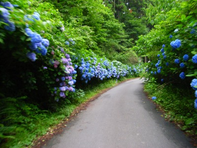 R0010910.jpg